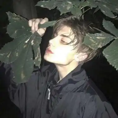 6686体育app首席作者Vega