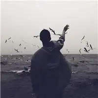 6686体育app官方作者Alice