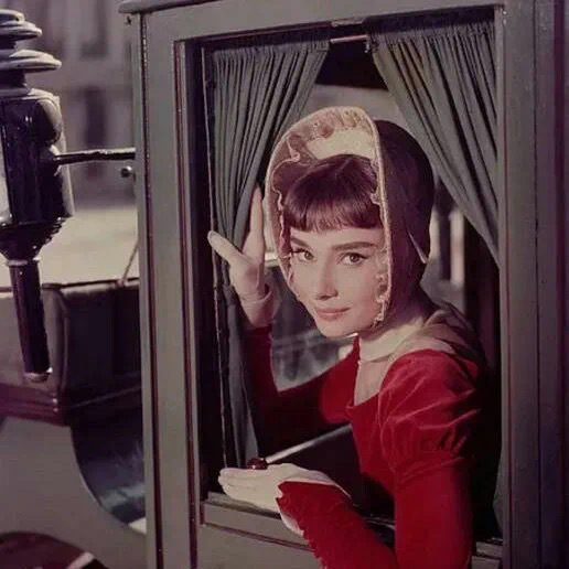 6686体育app中级作者九命猫