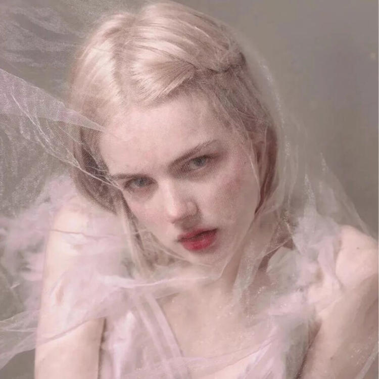 6686体育app高级作者淡墨无殇