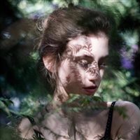 6686体育app铁牌作者Quincy